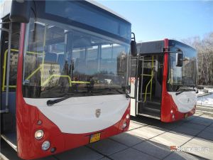 Наладить производство словацких автобусов могут в Нижнем Тагиле