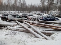 На Серовском тракте груженый лесом КАМАЗ завалил бревнами машины рыбаков (фото)