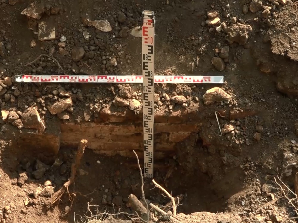 Ученые датировали останки, которые могут принадлежать Демидовым