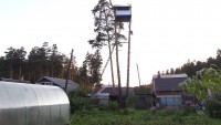 Тагильчанина, построившего дом на соснах соседей, оштрафовали на 100 рублей