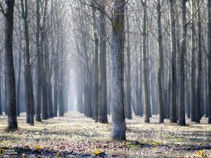 Зима не спешит в Нижний Тагил. В ближайшие дни будет тепло