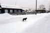 Столько снега в Свердловской области не было 14 лет: статистика по городам