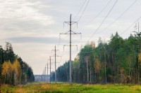 Причиной блэкаута в свердловском городе оказались лесорубы