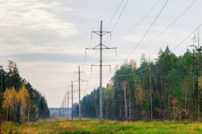 Причиной блэкаута в свердловском городе оказались лесорубы