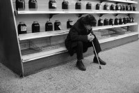 «Страна-фабрика»: россияне назвали экономическими идеалами Китай, СССР и Белоруссию