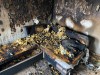 В Нижнем Тагиле в съёмной квартире произошёл загадочный пожар