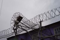 Заключённые тагильской колонии прекратили голодовку