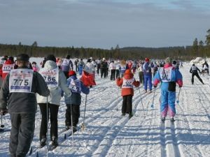 В феврале под Нижним Тагилом пройдет лыжная гонка «Лыжня России-2014»