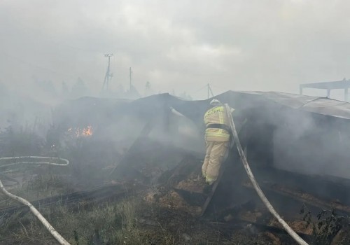 В пригороде Нижнего Тагила сгорела пилорама