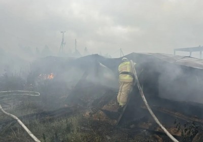 В пригороде Нижнего Тагила сгорела пилорама