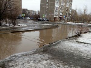 Тепло и пасмурно: всю неделю Нижний Тагил будет поливать дождь