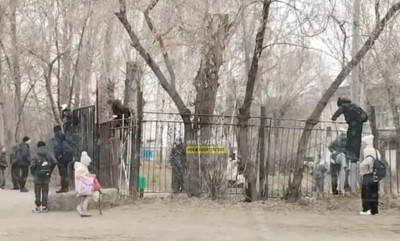 Тагильские власти отреагировали на штурм забора учениками