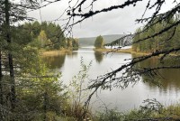 Когда бабье лето? Главный свердловский синоптик дала прогноз на сентябрь