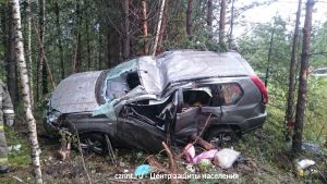 Под Нижним Тагилом Nissan под управлением 35-летней женщины улетел в кювет, пострадал ребенок (фото)