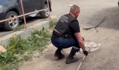 В Нижнем Тагиле спасатели вызволили сокола из заточения в автосервисе: видео