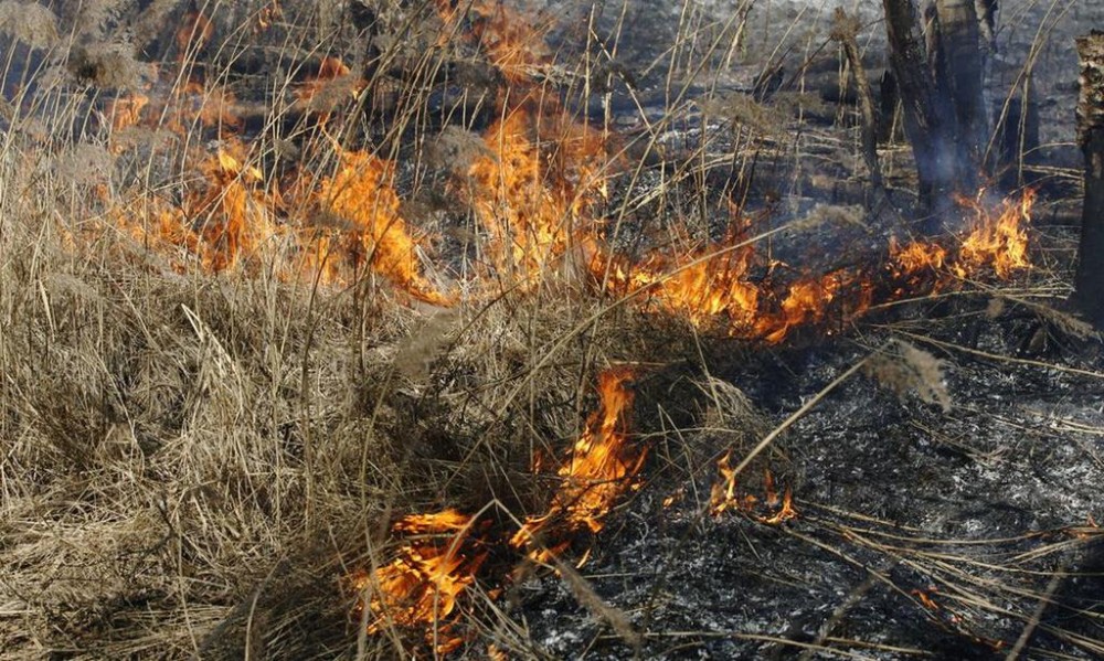 Четыре раза за день пожарные выезжали тушить траву в Нижнем Тагиле