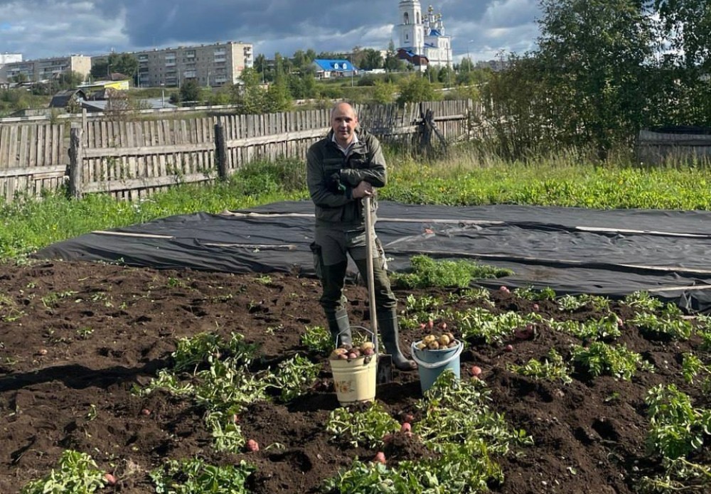Пора копать картошку: губернатор показал пример на мамином огороде (фото)