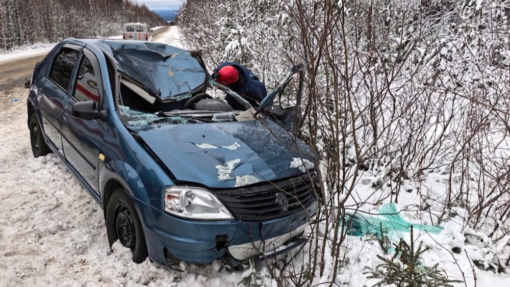 ДТП с лосем на трассе под Тагилом: водитель умер в больнице