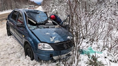 ДТП с лосем на трассе под Тагилом: водитель умер в больнице