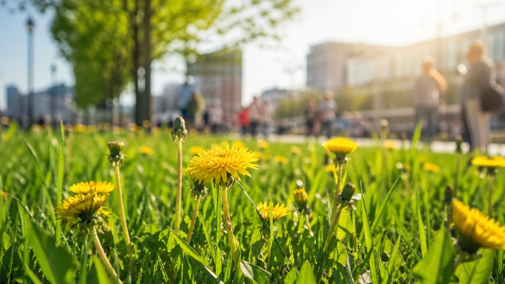 Свердловская область в &laquo;красной зоне&raquo;: ведущая метеомодель дала уверенный прогноз на май