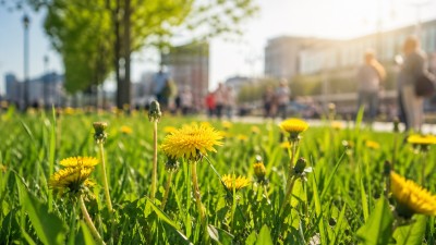 Свердловская область в &laquo;красной зоне&raquo;: ведущая метеомодель дала уверенный прогноз на май