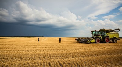 «Хочется запахать весь урожай и бросить»: аграрии о катастрофе с ценами на зерно