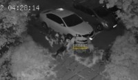 «Скоро колеса начнут снимать»: тагильчан повеселило видео с собаками-похитителями