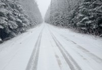 Гидрометцентр дал прогноз на ноябрь для Свердловской области