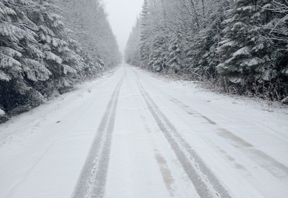 Гидрометцентр дал прогноз на ноябрь для Свердловской области