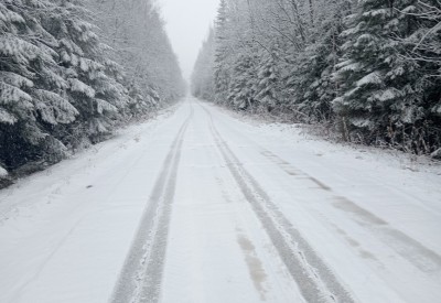 Гидрометцентр дал прогноз на ноябрь для Свердловской области