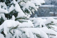 Зима не отступает: МЧС предупредило уральцев о метелях и снегопадах