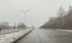 Ждем первый снег: свердловские синоптики дали прогноз на неделю