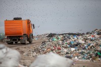 Жители Нижнего Тагила потребовали провести референдум по строительству мусоросортировочного завода