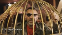 Кот-инстаграмер из Нижнего Тагила попал в развлекательное шоу с Сергеем Шнуровым (видео)