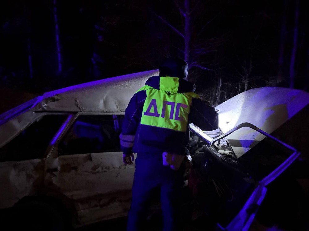 В больнице умер второй участник аварии под Нижним Тагилом