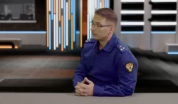 Прокурор потребовал от главы Нижнего Тагила решить проблему с собаками: их перестали ловить