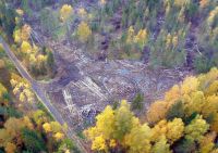 Незаконную вырубку леса в окрестностях Нижнего Тагила засняли с вертолёта