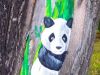Неизвестные художники украшают Нижний Тагил: рисунки панды и сов появились в Пионерском сквере (фото)