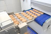 В Нижнем Тагиле намерены производить 700 тонн полуфабрикатов ежемесячно