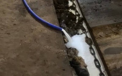 Почему свердловские фермеры заявляют об уничтожении тонн молока, а цены в магазинах не падают