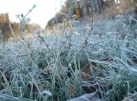 Уральские синоптики объявили экстренное предупреждение о ночных заморозках