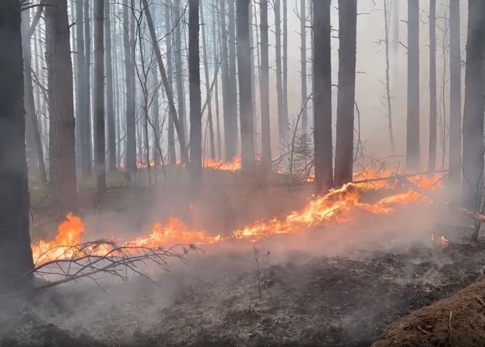 Ситуация с лесными пожарами в Свердловской области ухудшается