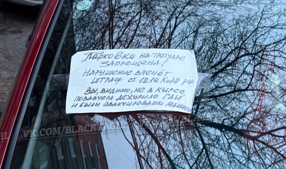 В Нижнем Тагиле появился борец с гряземесами. Что он делает