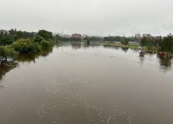 Свердловский губернатор поручил разработать план по расчистке русел рек