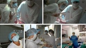В Демидовской больнице, где сделали скандальное селфи, ввели запрет на фото и видео