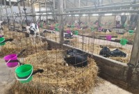 Под Нижним Тагилом построят большой агрокомплекс за 2 миллиарда рублей