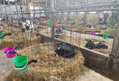 Под Нижним Тагилом построят большой агрокомплекс за 2 миллиарда рублей