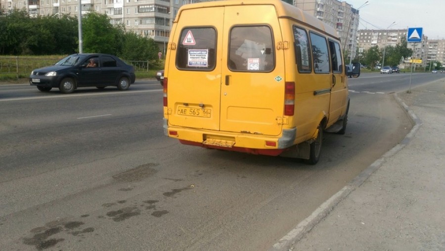 Жительница ВКО расплатилась в автобусе поддельными деньгами - Новости | Караван