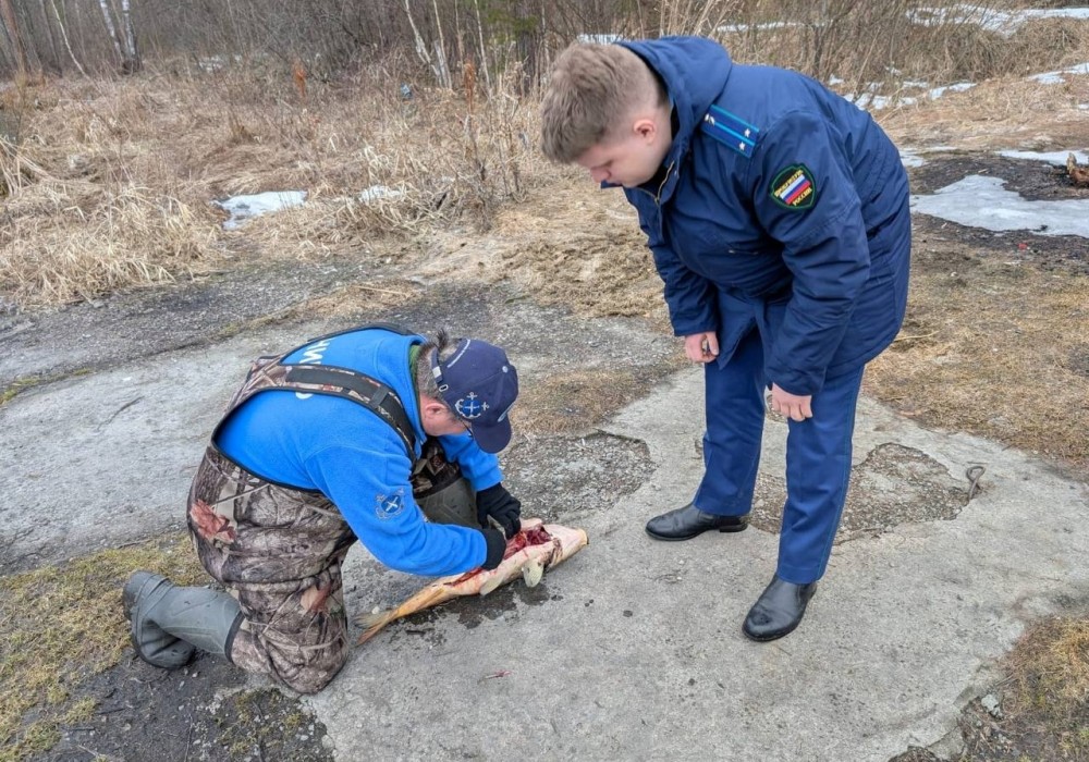 Загрязнение реки под Тагилом привело к гибели тонны рыбы и уголовному делу
