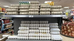Яйца снова дорожают: оптовая цена достигла 60 рублей